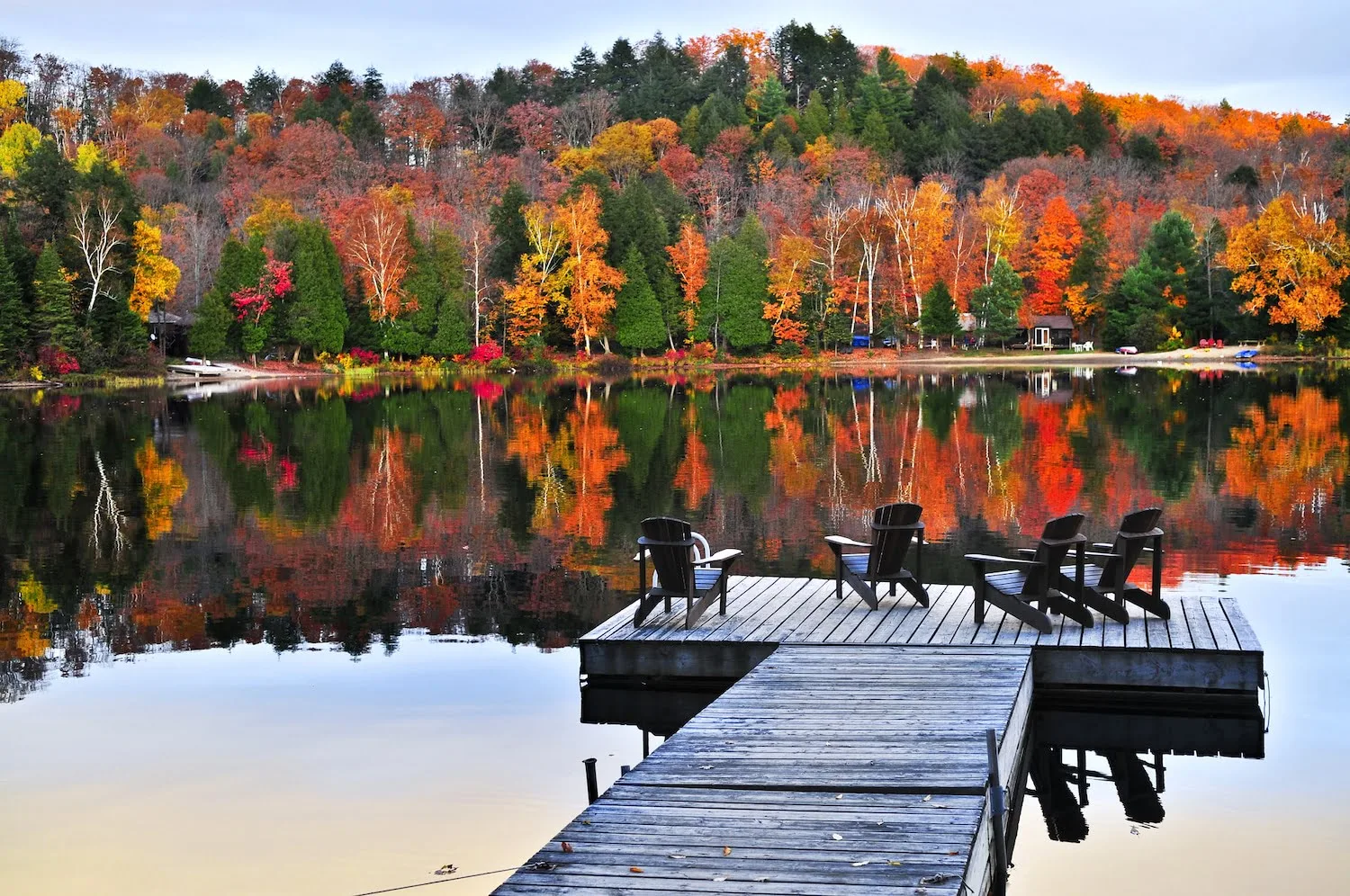 Featured image for “4 Fun Fall Activities near the Finger Lakes”