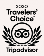 tripadvisor 2020 travelers choice